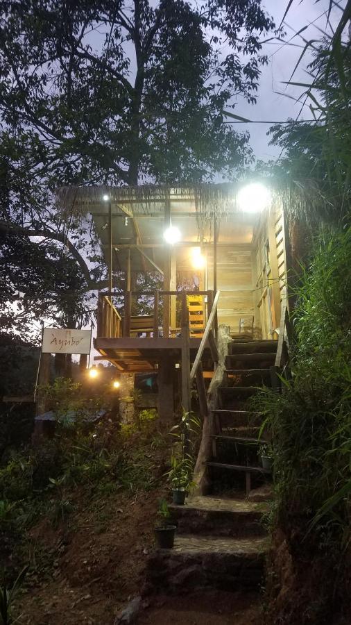 Ayubo Ella - Bed & Breakfast Exterior foto